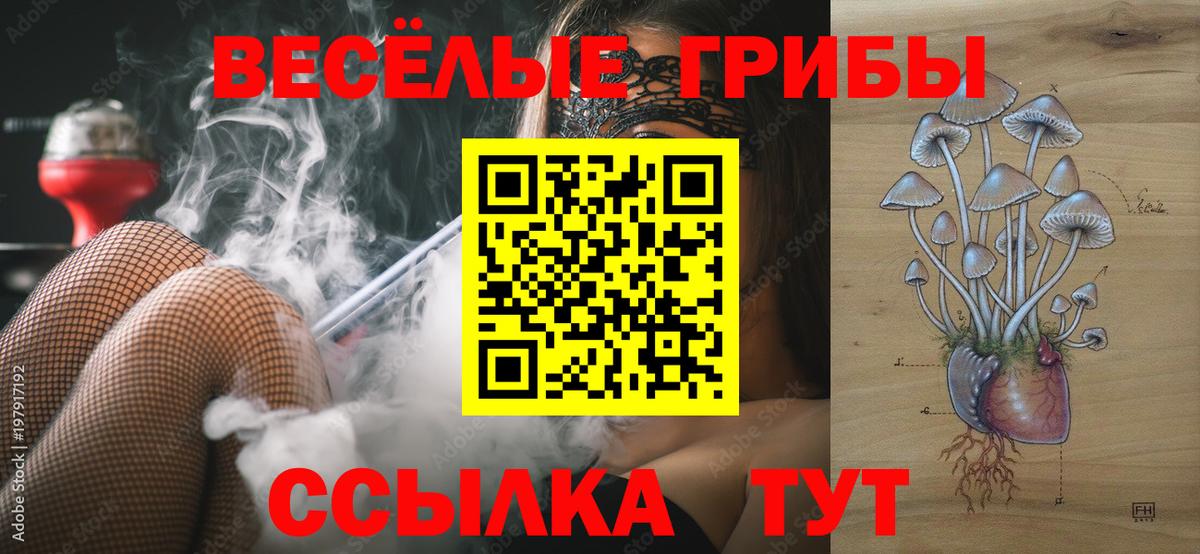 Псилоцибиновые грибы MAGIC MUSHROOMS  Вход с VPN  Ефремов 